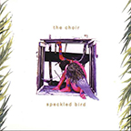 Speckled Bird by The Choir